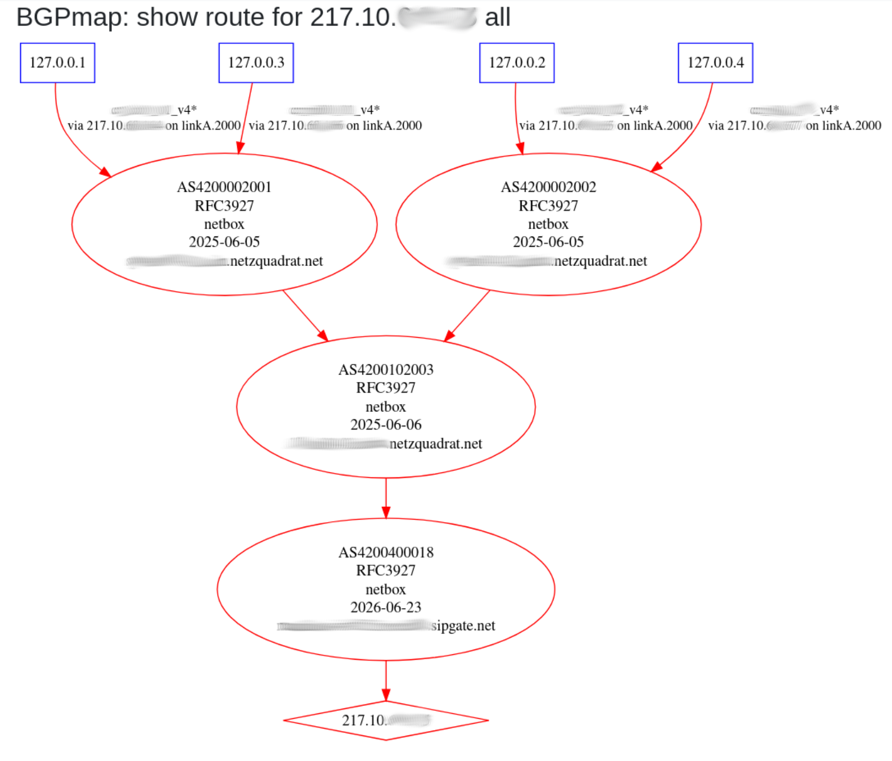 bird-lg-go bgpmap output for an internal target, now showing proper internal/private AS information from Netbox