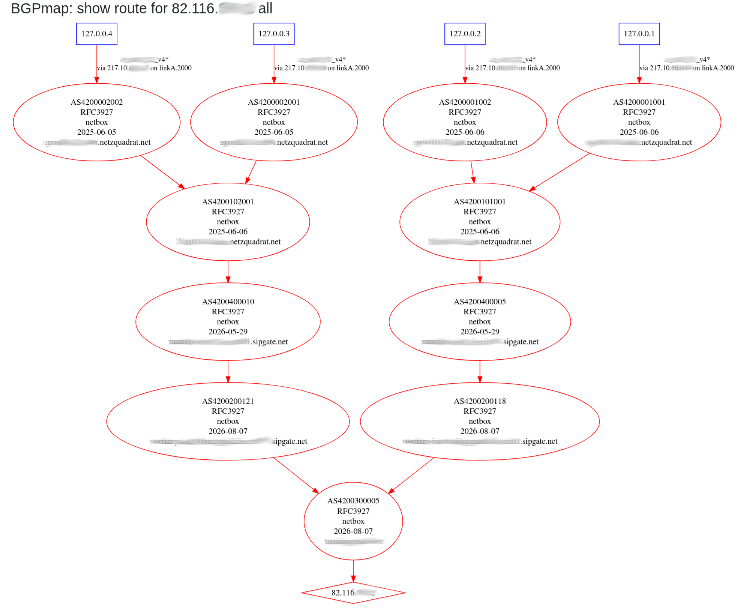 bird-lg-go bgpmap output for anycasted IP address with multiple parallel paths and internal/private AS information from Netbox
